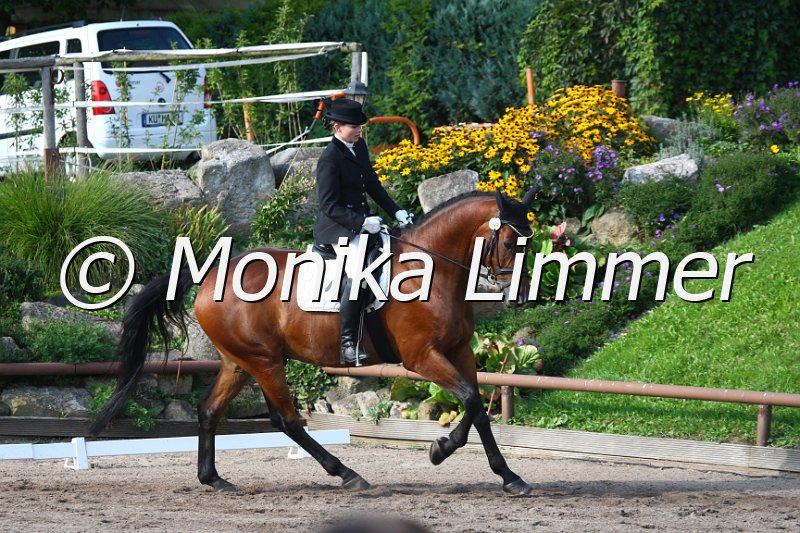 009M0448_Aramis_Dressur A.JPG